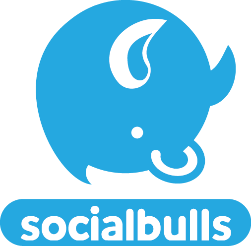 SocialBulls - Social Media Workshop
